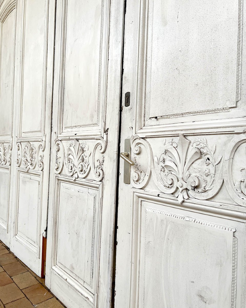 Paire de doubles portes d’esprit Louis XV-photo-3