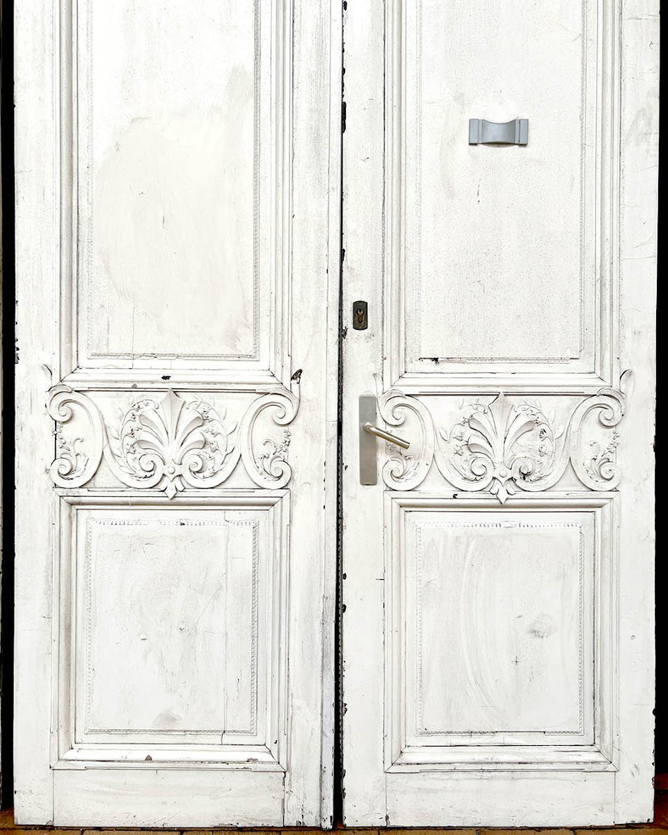 Paire de doubles portes d’esprit Louis XV-photo-1