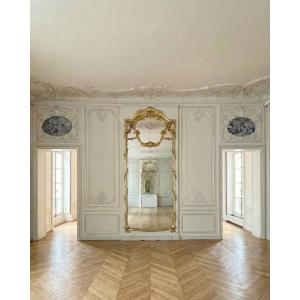 Louis XV Rococo-style Oak Paneling, 24 Linear Meters