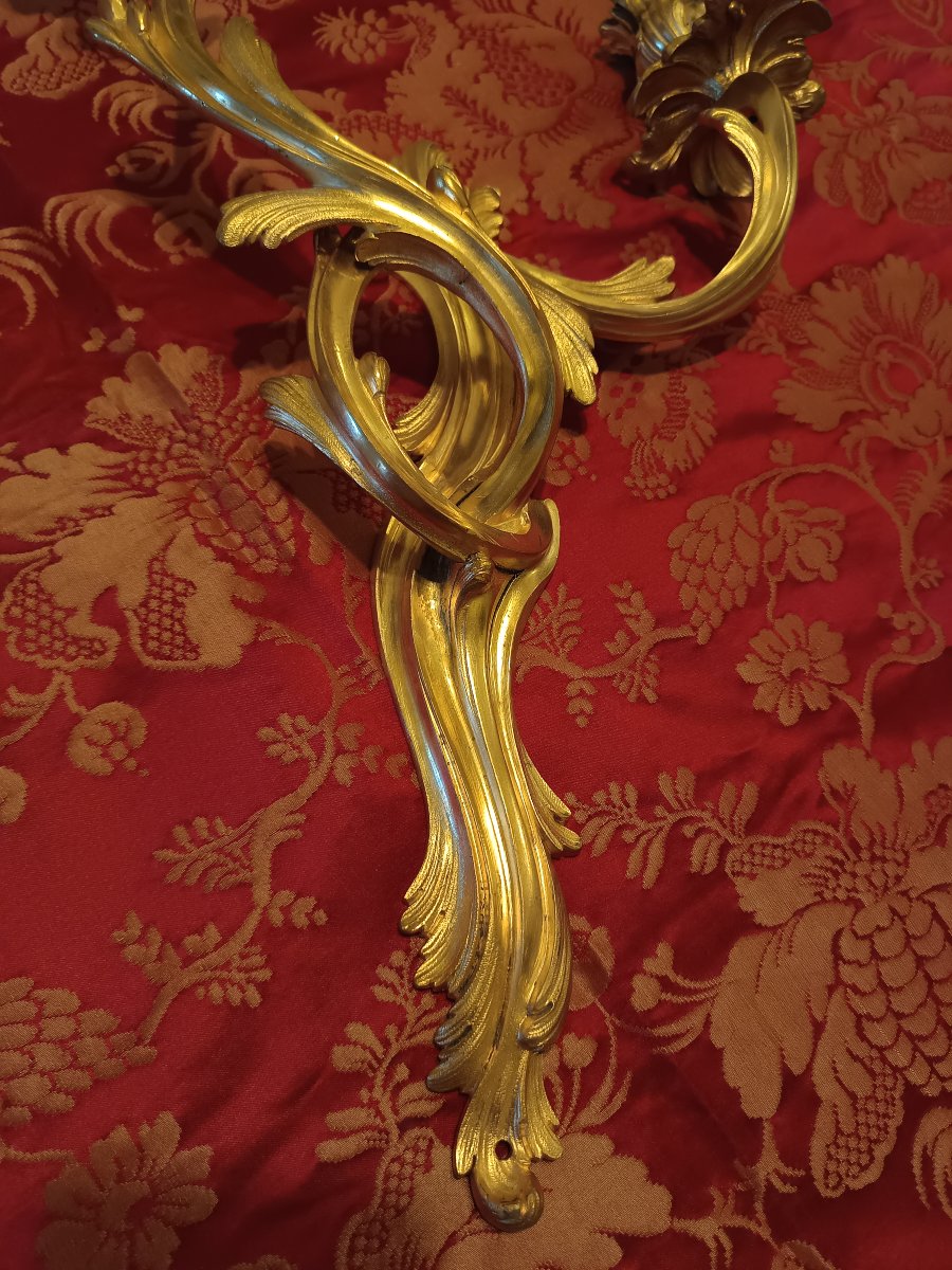Paire d'appliques en bronze doré de style Louis XV époque fin XIXème-photo-2