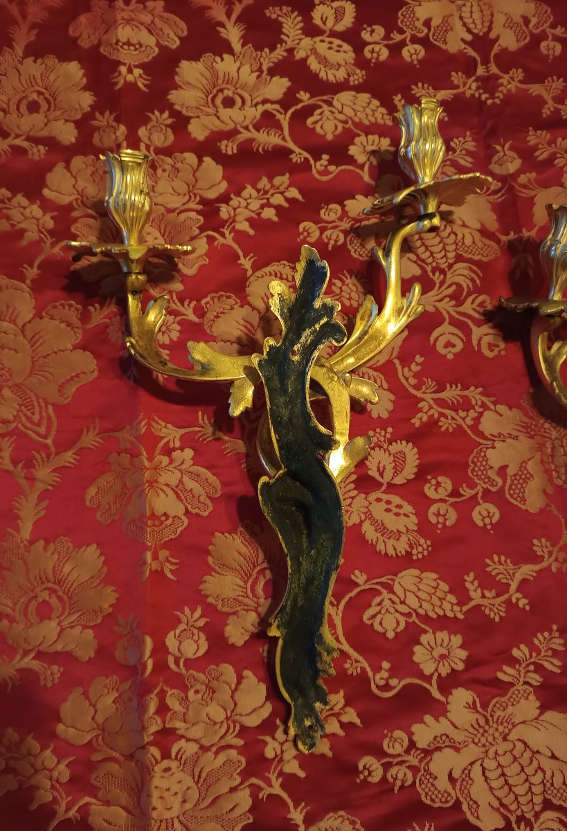 Paire d'appliques en bronze doré de style Louis XV époque fin XIXème-photo-5