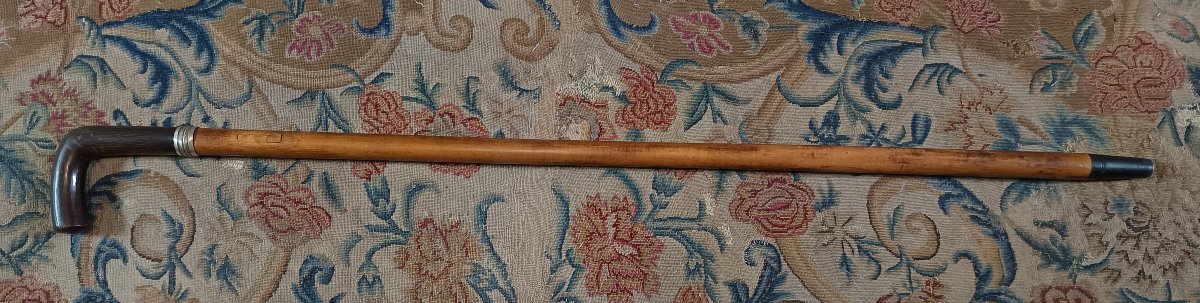 Canne épée époque fin XIXème-photo-2