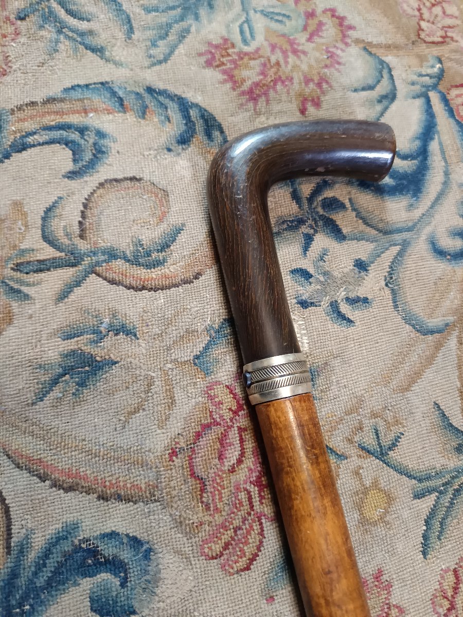 Canne épée époque fin XIXème-photo-4