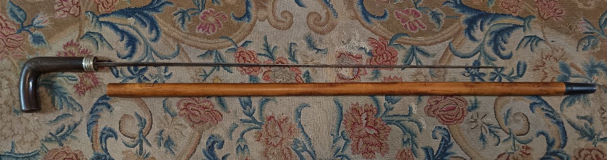 Canne épée époque fin XIXème-photo-3