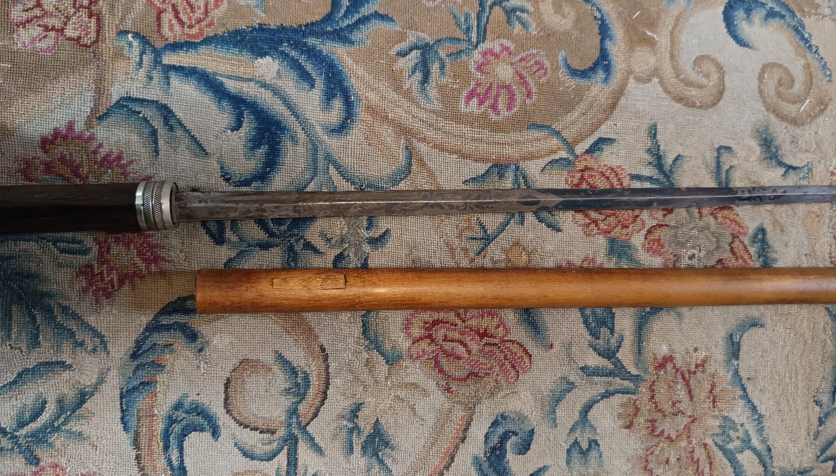 Canne épée époque fin XIXème-photo-4