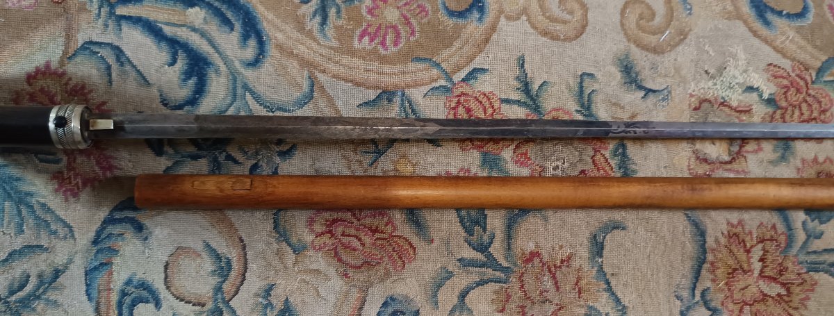 Canne épée époque fin XIXème-photo-6