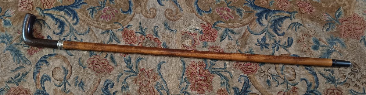 Canne épée époque fin XIXème