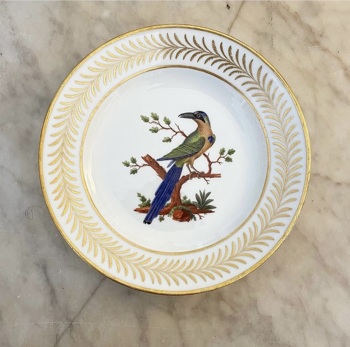 Assiette ornithologique en porcelaine de Nast