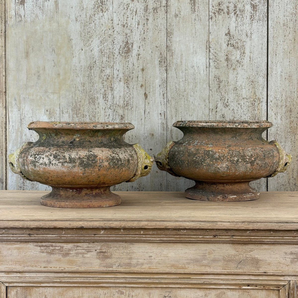 Pair Of 19th Century Terracotta Basins-photo-8
