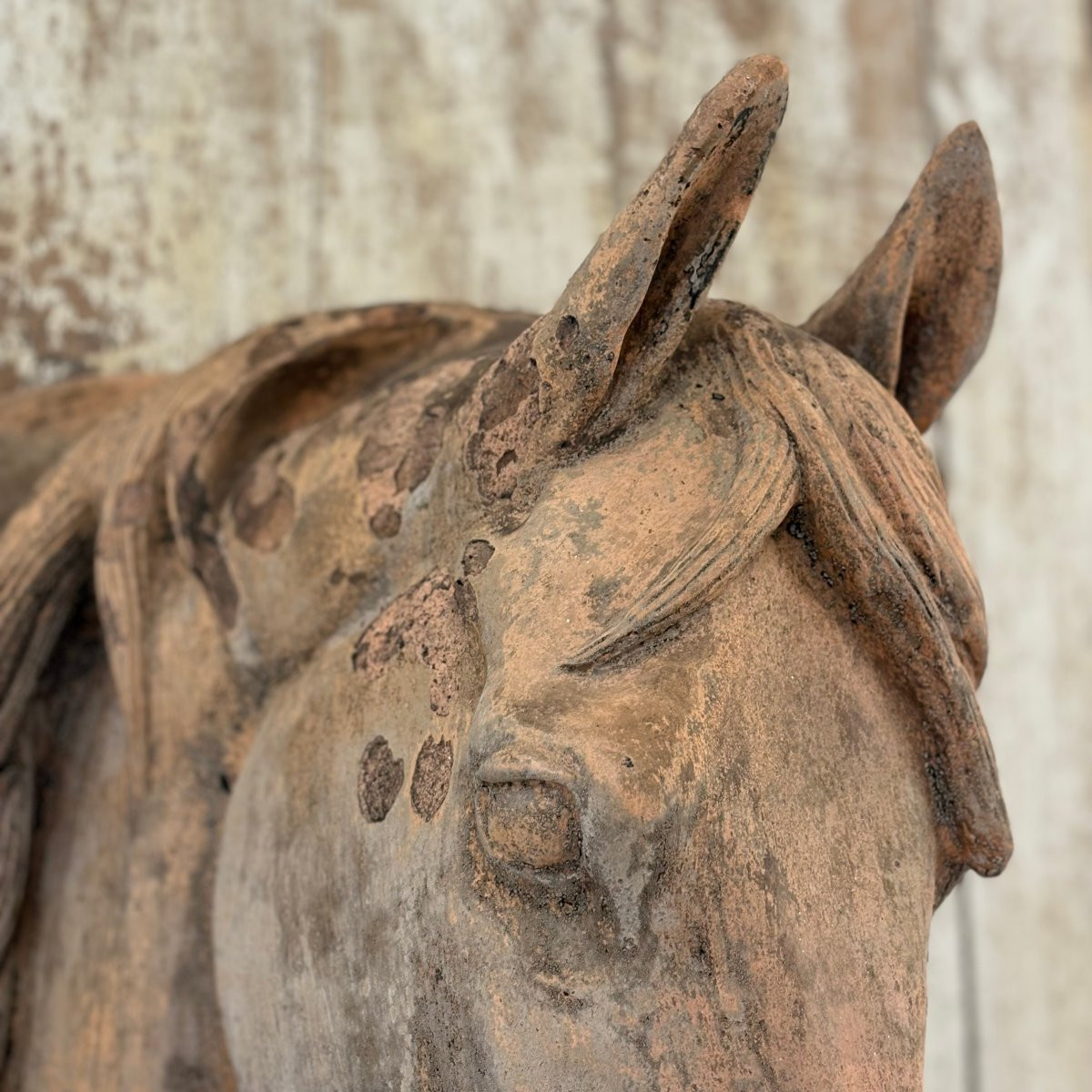 Tête de cheval en terre cuite XIXe-photo-4