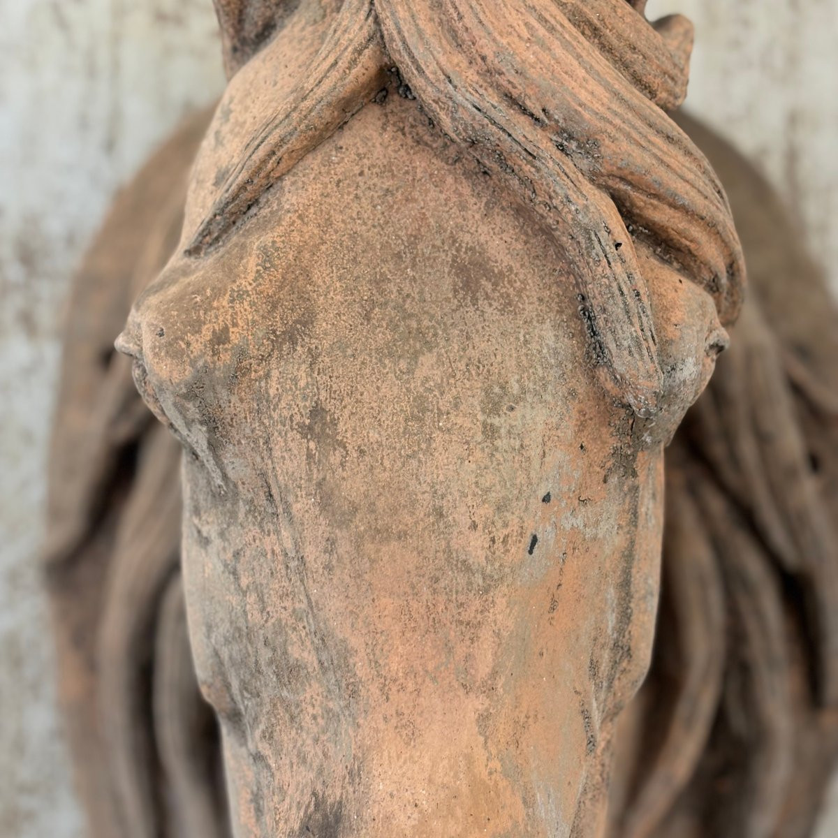 Tête de cheval en terre cuite XIXe-photo-5