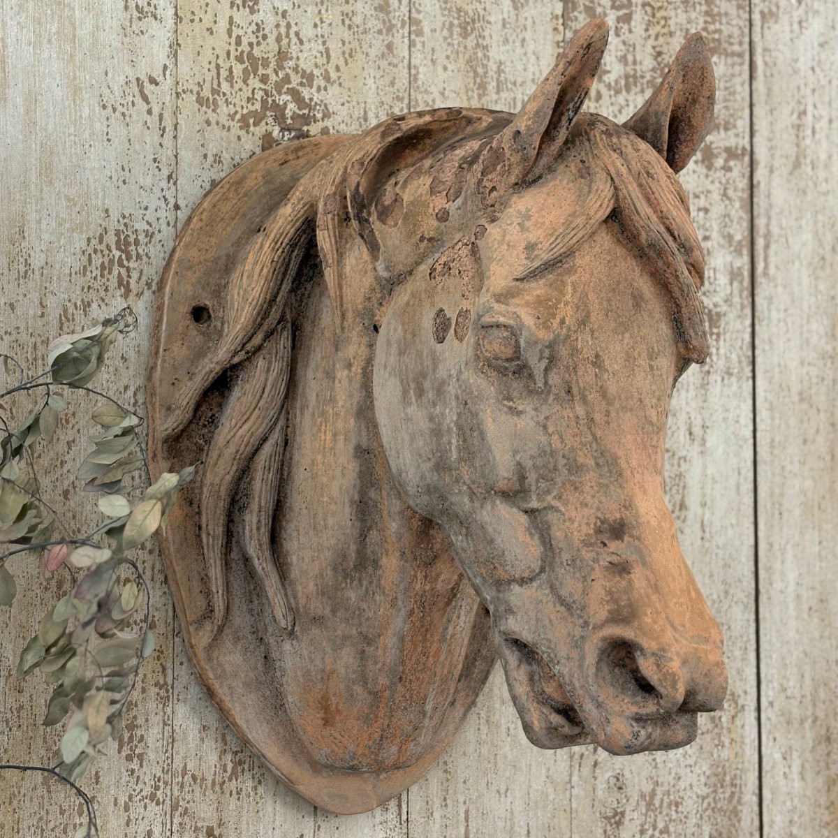 Tête de cheval en terre cuite XIXe-photo-8
