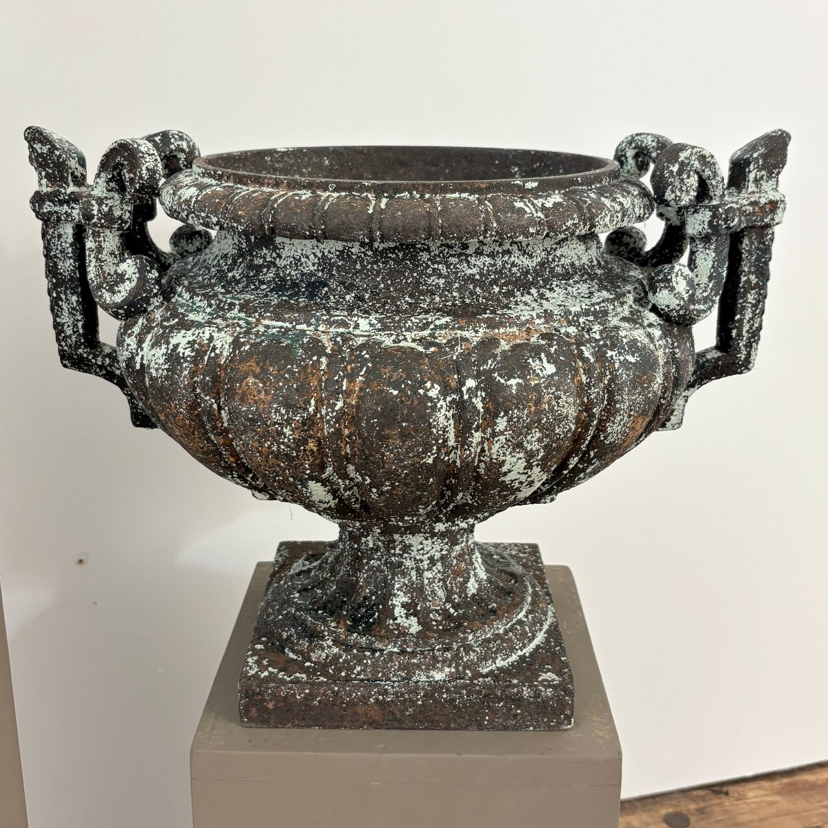 Paire de vases en fonte XIX-photo-6