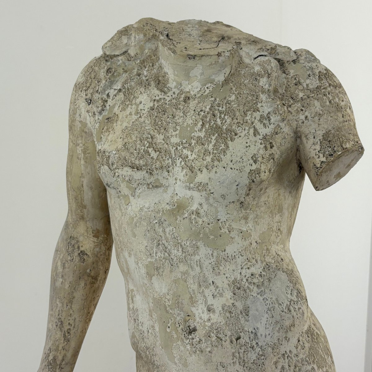 Large Plaster Cast In The Antique Style From The 19th Century-photo-5