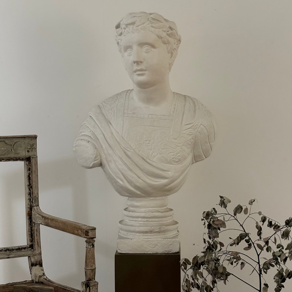 Grand buste d'Empereur Romain en plâtre-photo-2
