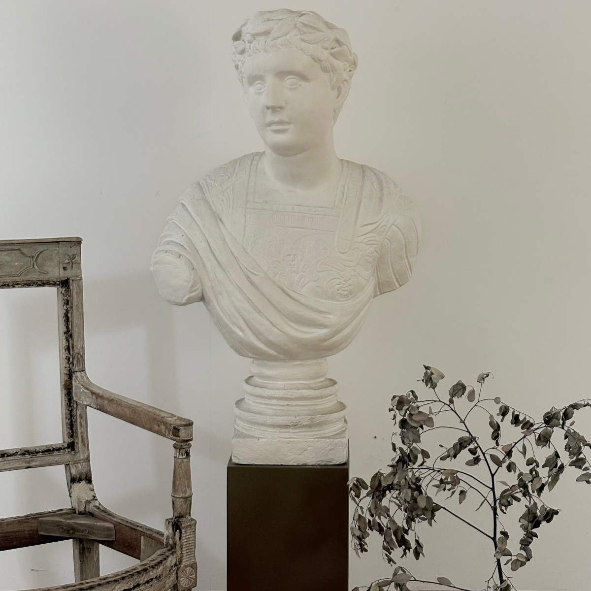 Grand buste d'Empereur Romain en plâtre