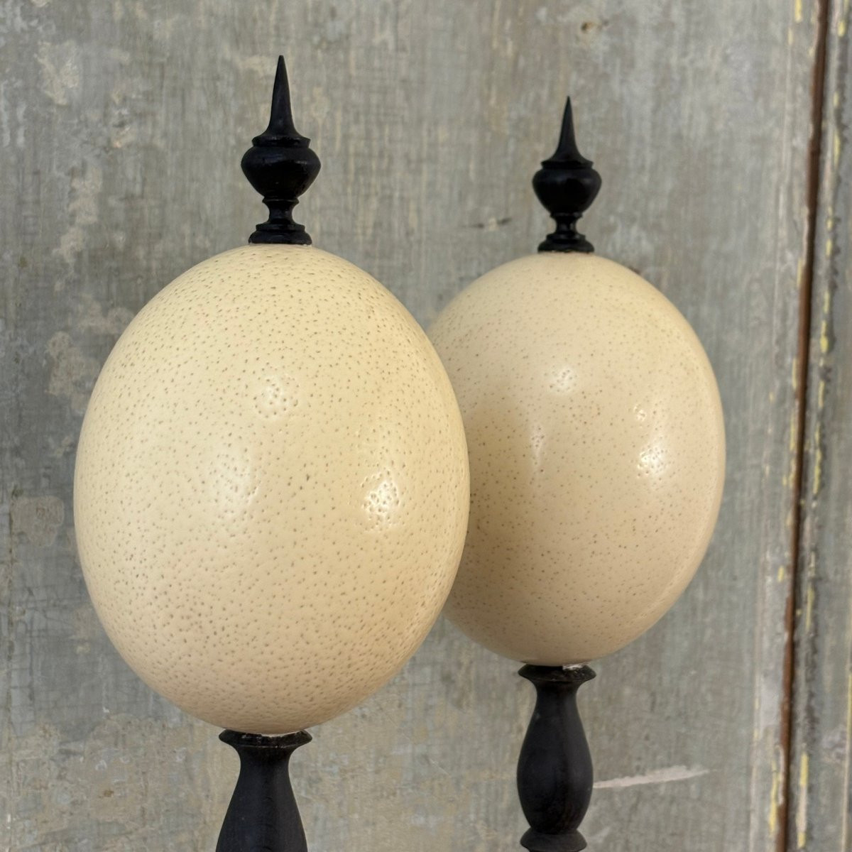 Pair Of Mounted Ostrich Eggs-photo-2