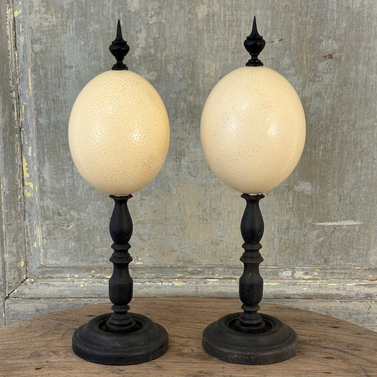 Pair Of Mounted Ostrich Eggs-photo-4