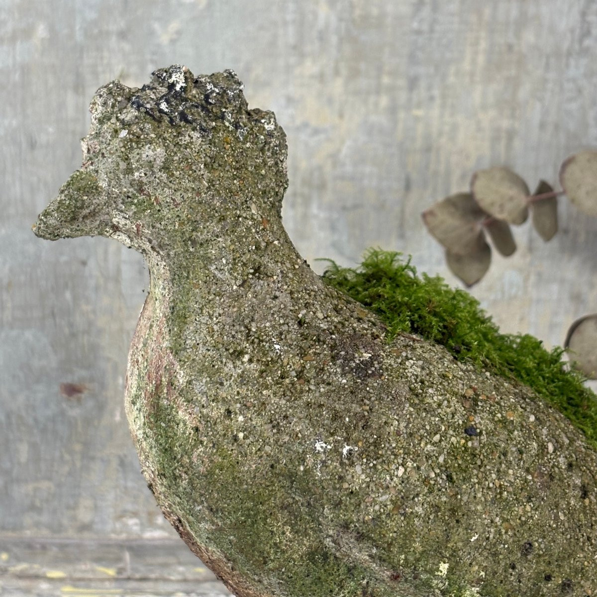 Pigeon en ciment-photo-2