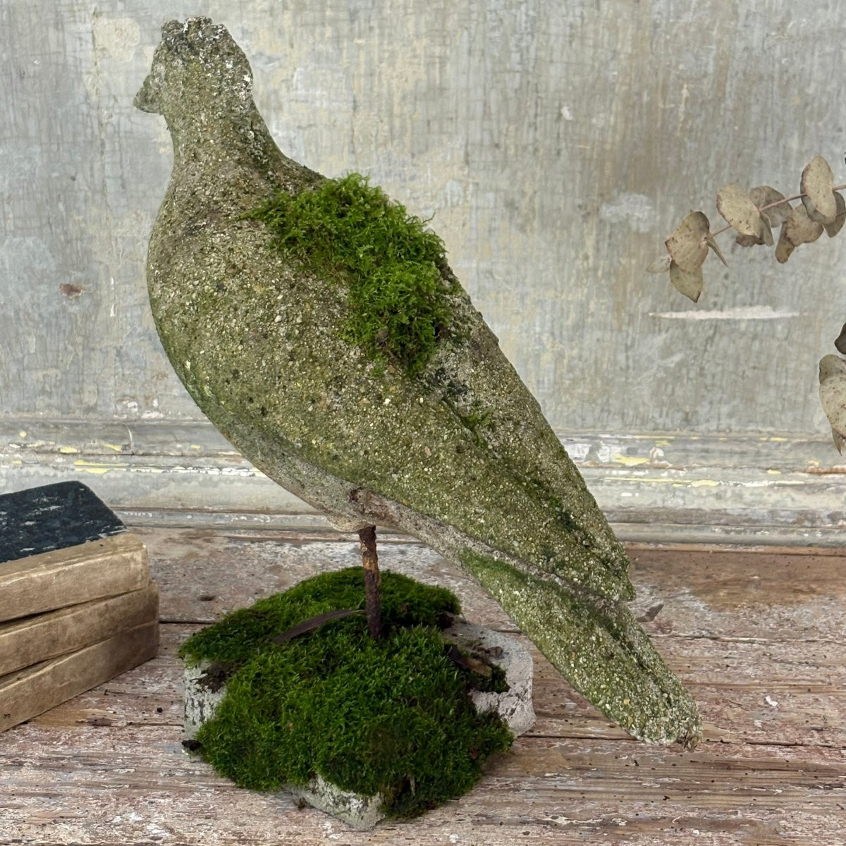 Pigeon en ciment-photo-4