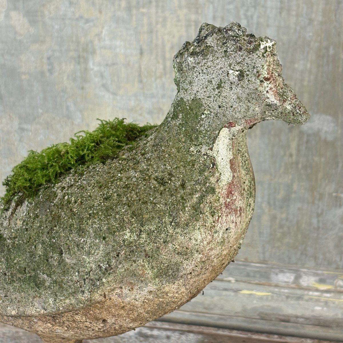 Pigeon en ciment-photo-1