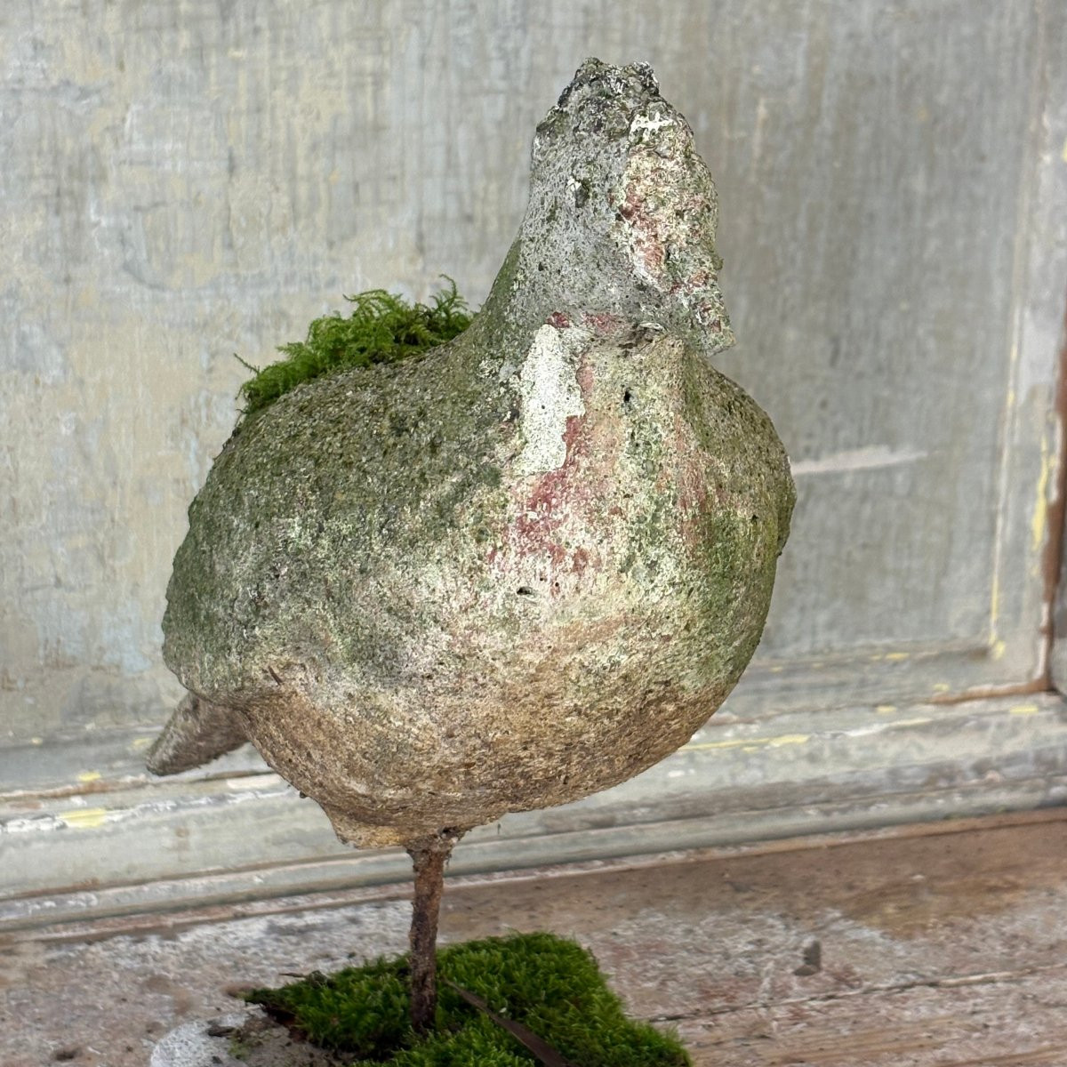 Pigeon en ciment-photo-2