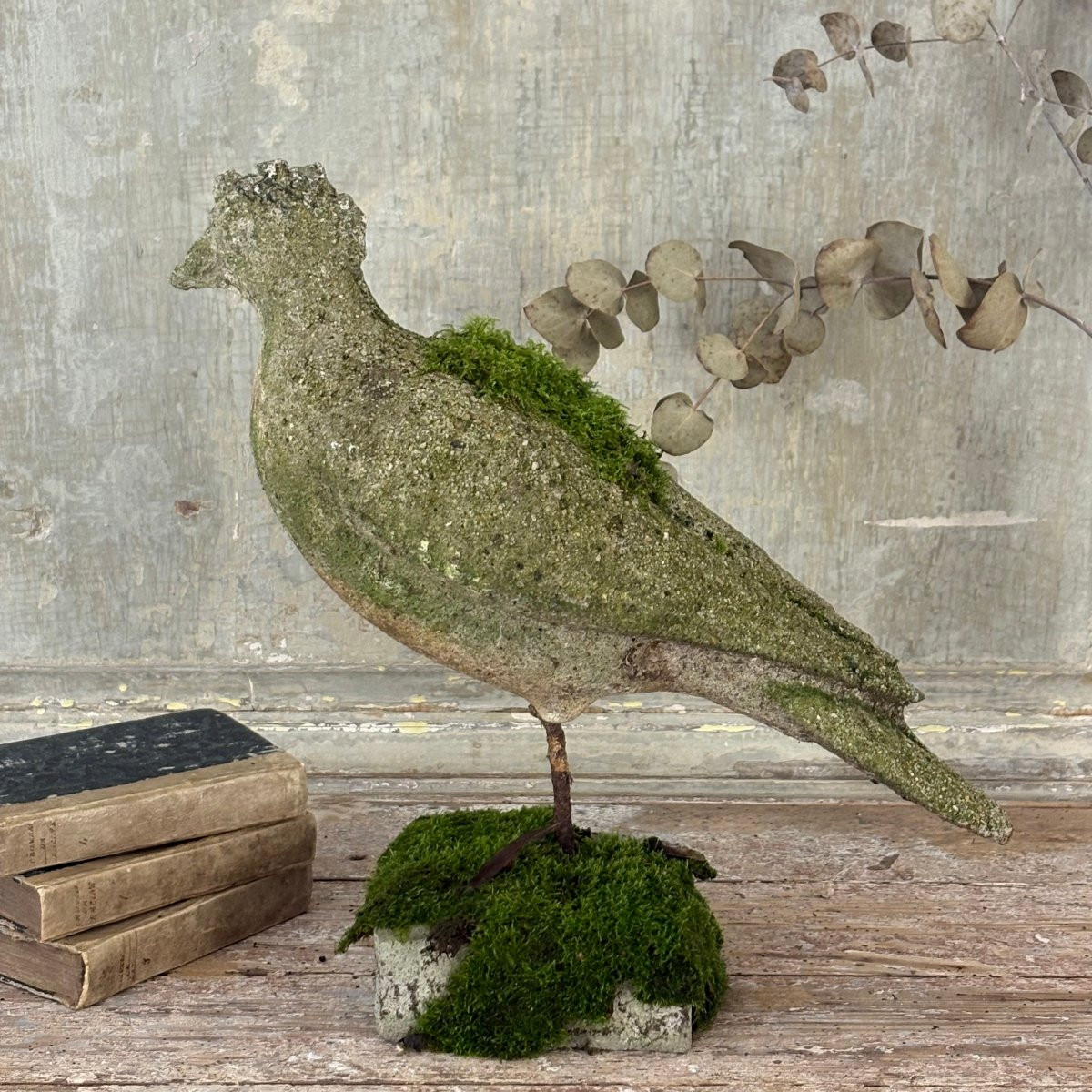 Pigeon en ciment-photo-3