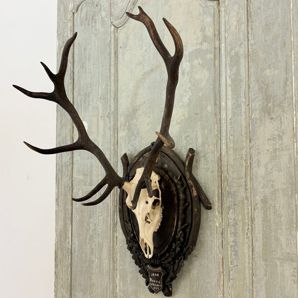 Large Hunting Trophy Late 19th Century Stag-photo-3
