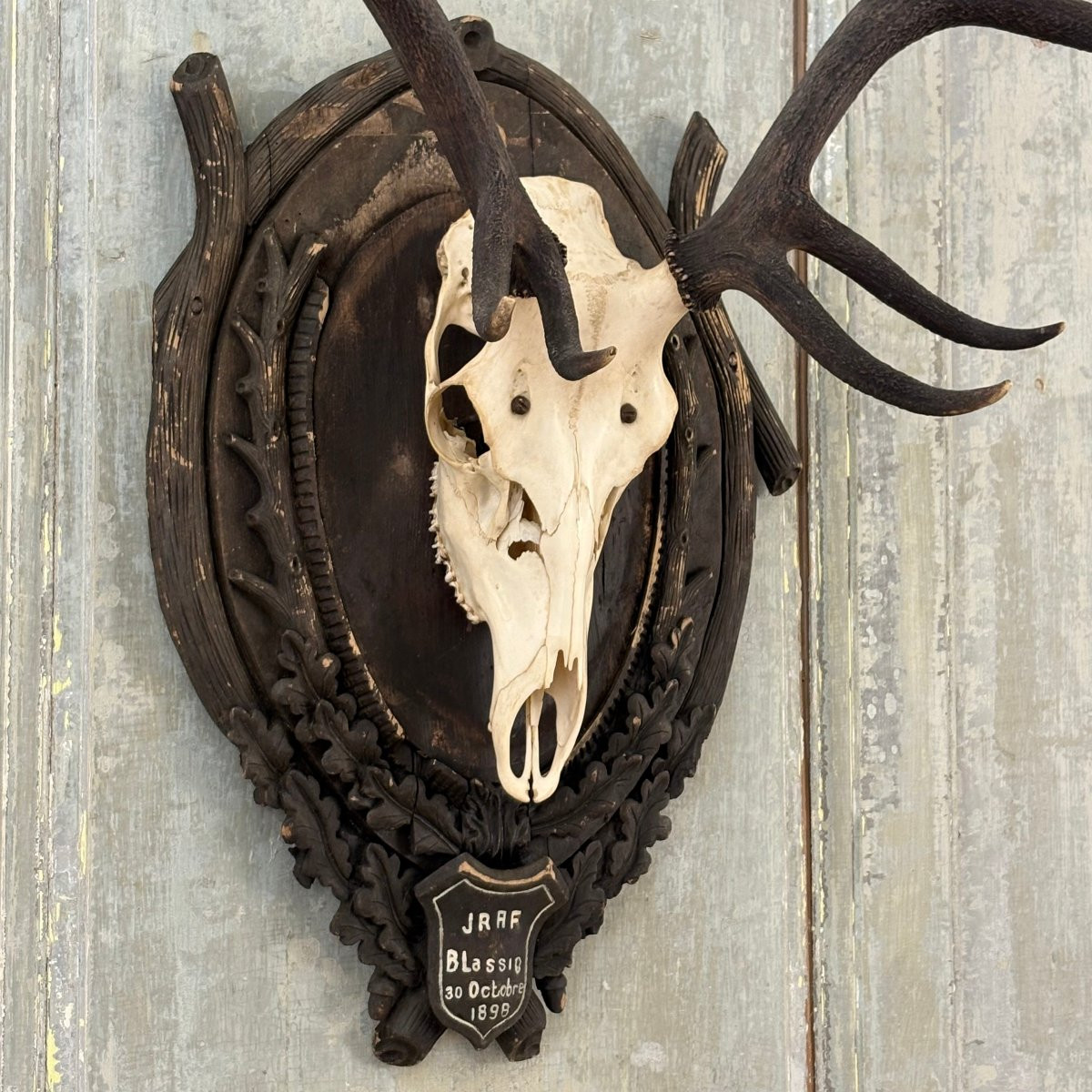 Large Hunting Trophy Late 19th Century Stag-photo-4