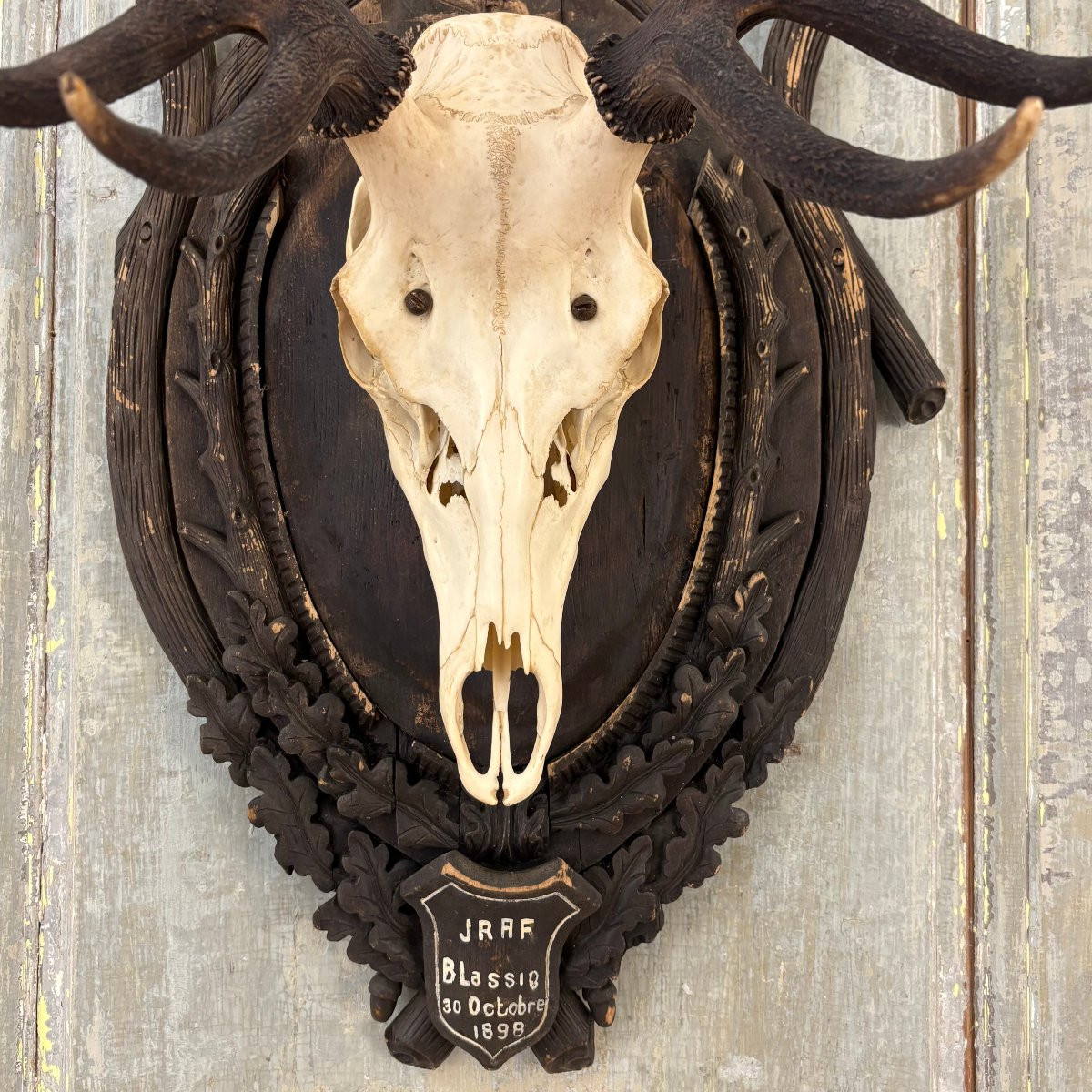 Large Hunting Trophy Late 19th Century Stag-photo-2