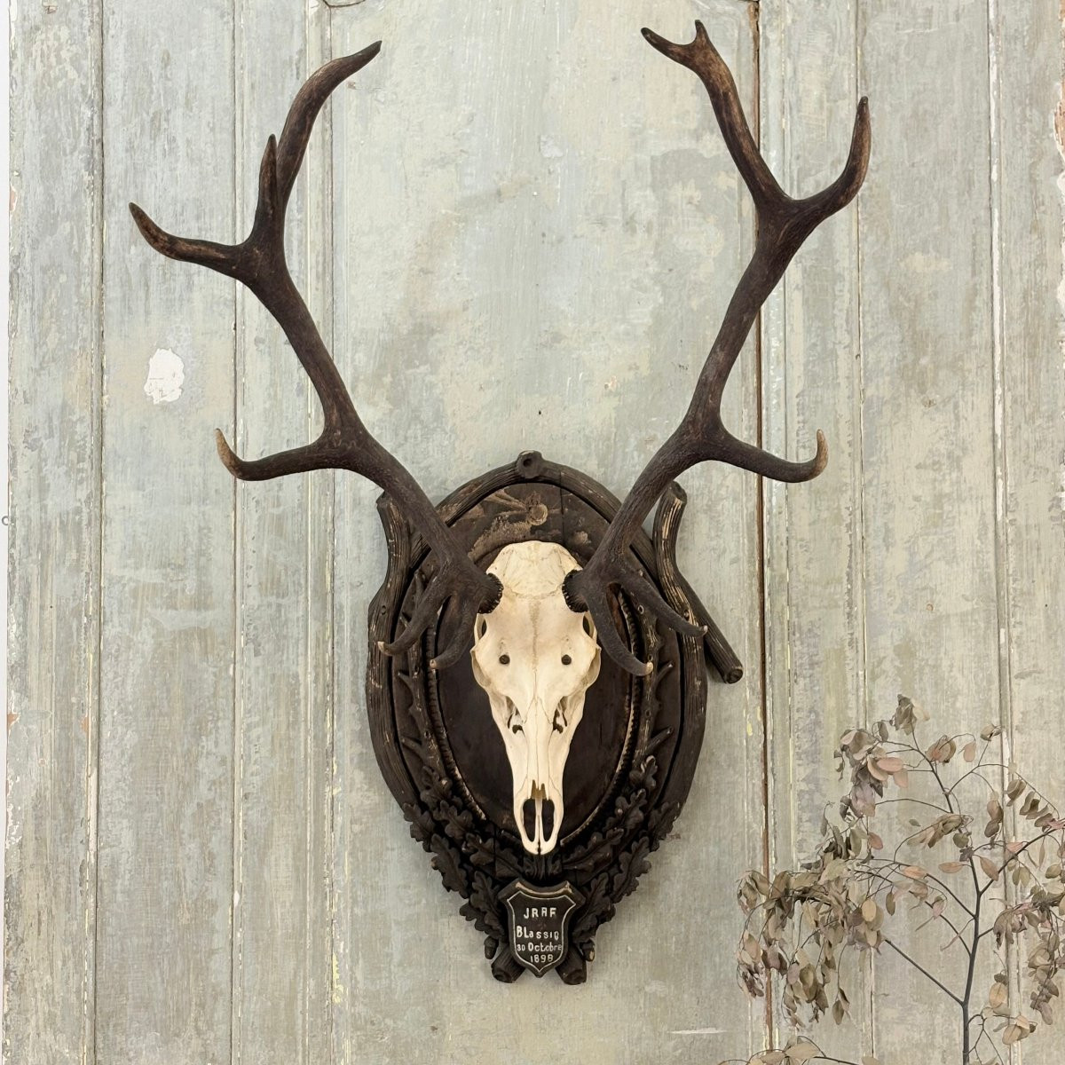 Large Hunting Trophy Late 19th Century Stag-photo-6