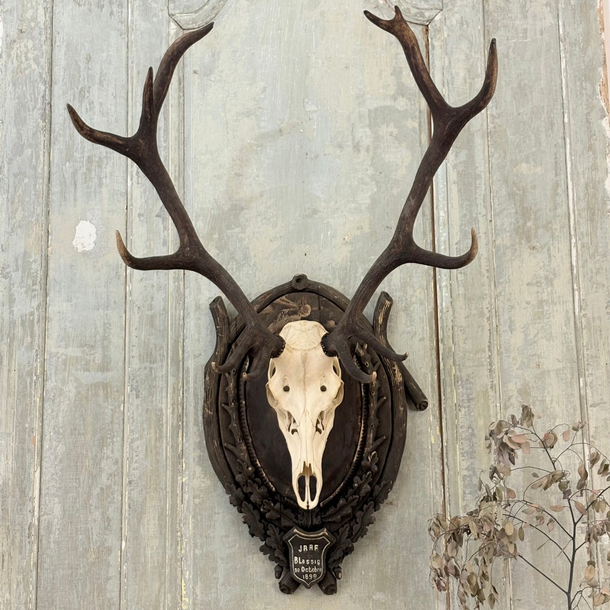 Large Hunting Trophy Late 19th Century Stag