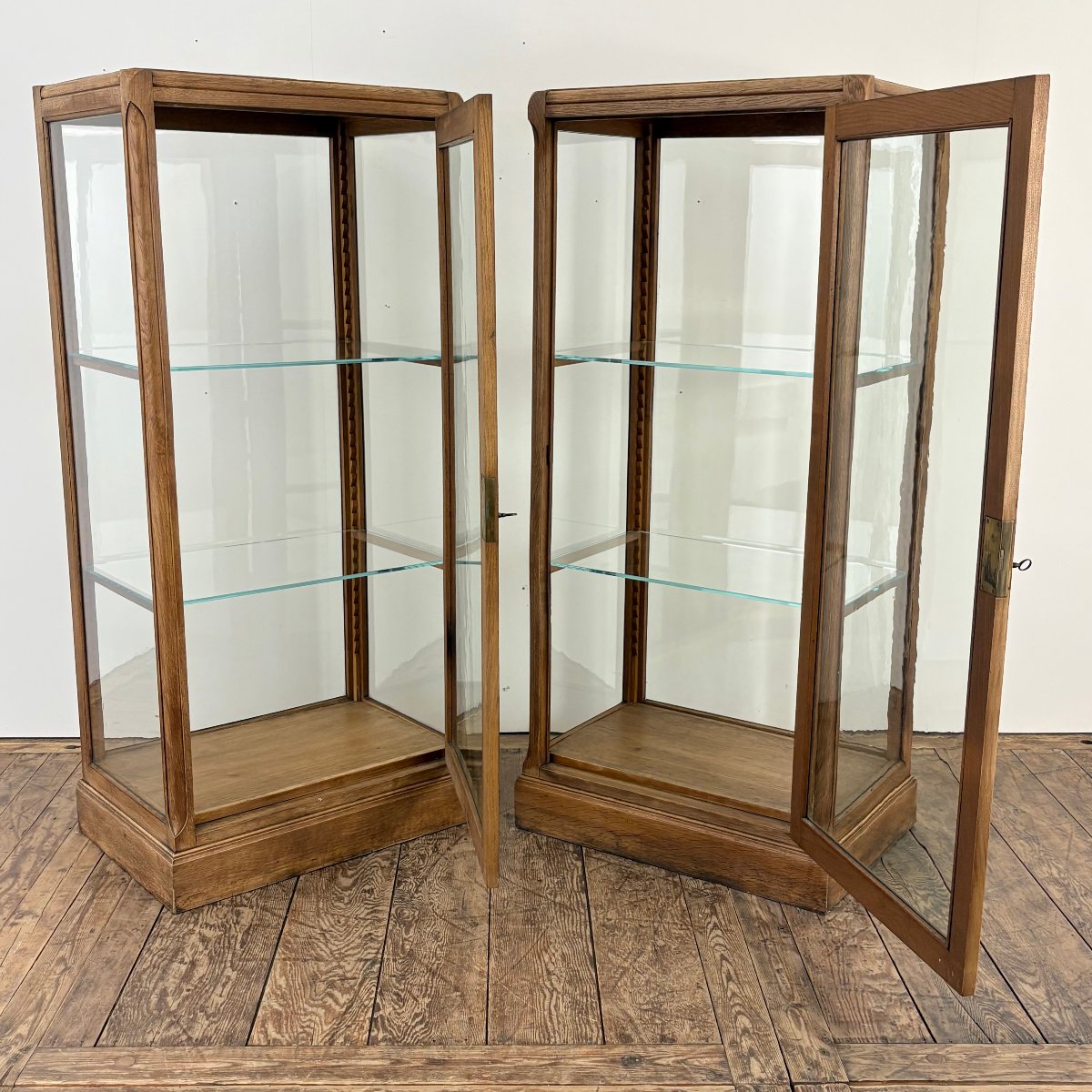 Paire de vitrine de musée vers 1900-photo-2