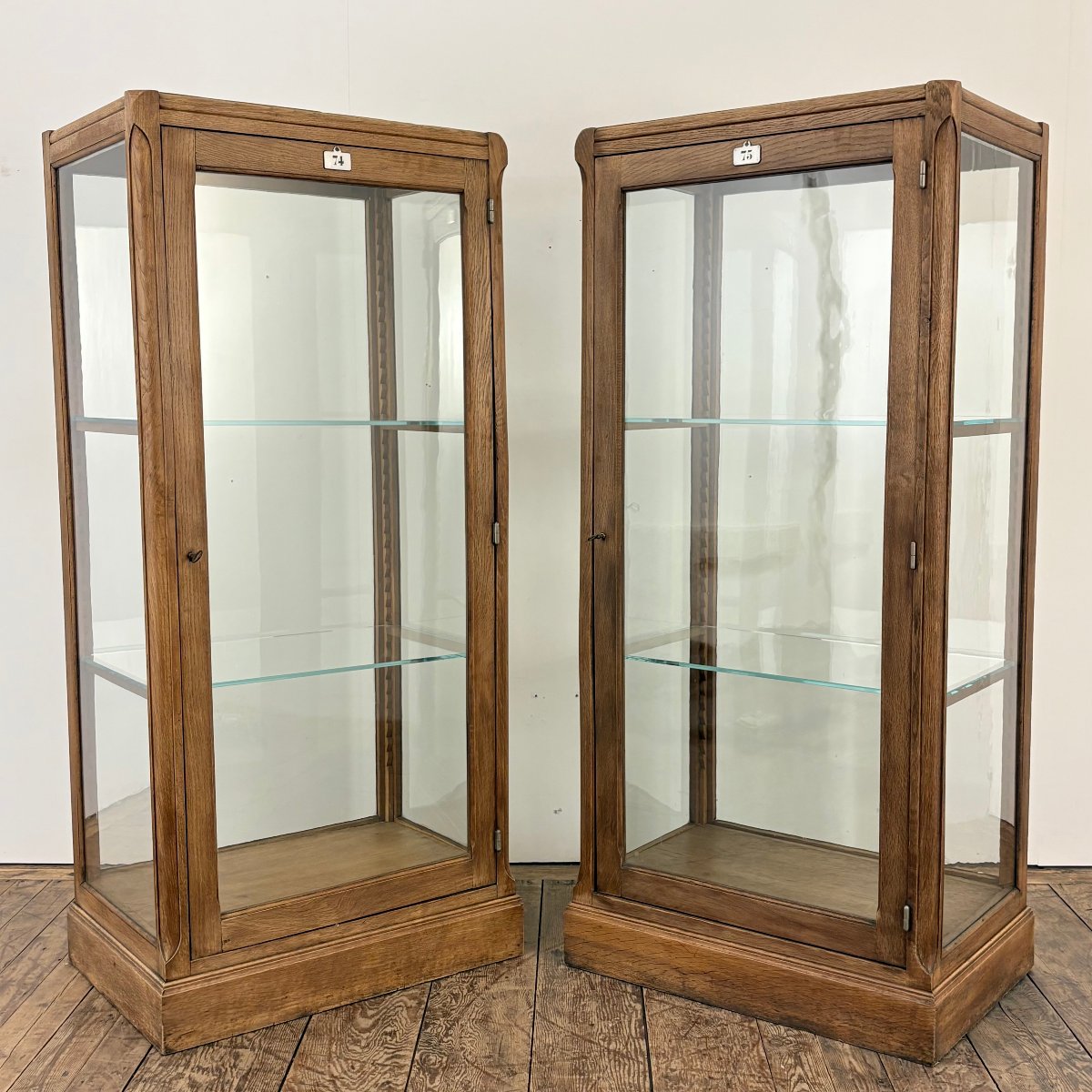 Paire de vitrine de musée vers 1900-photo-8