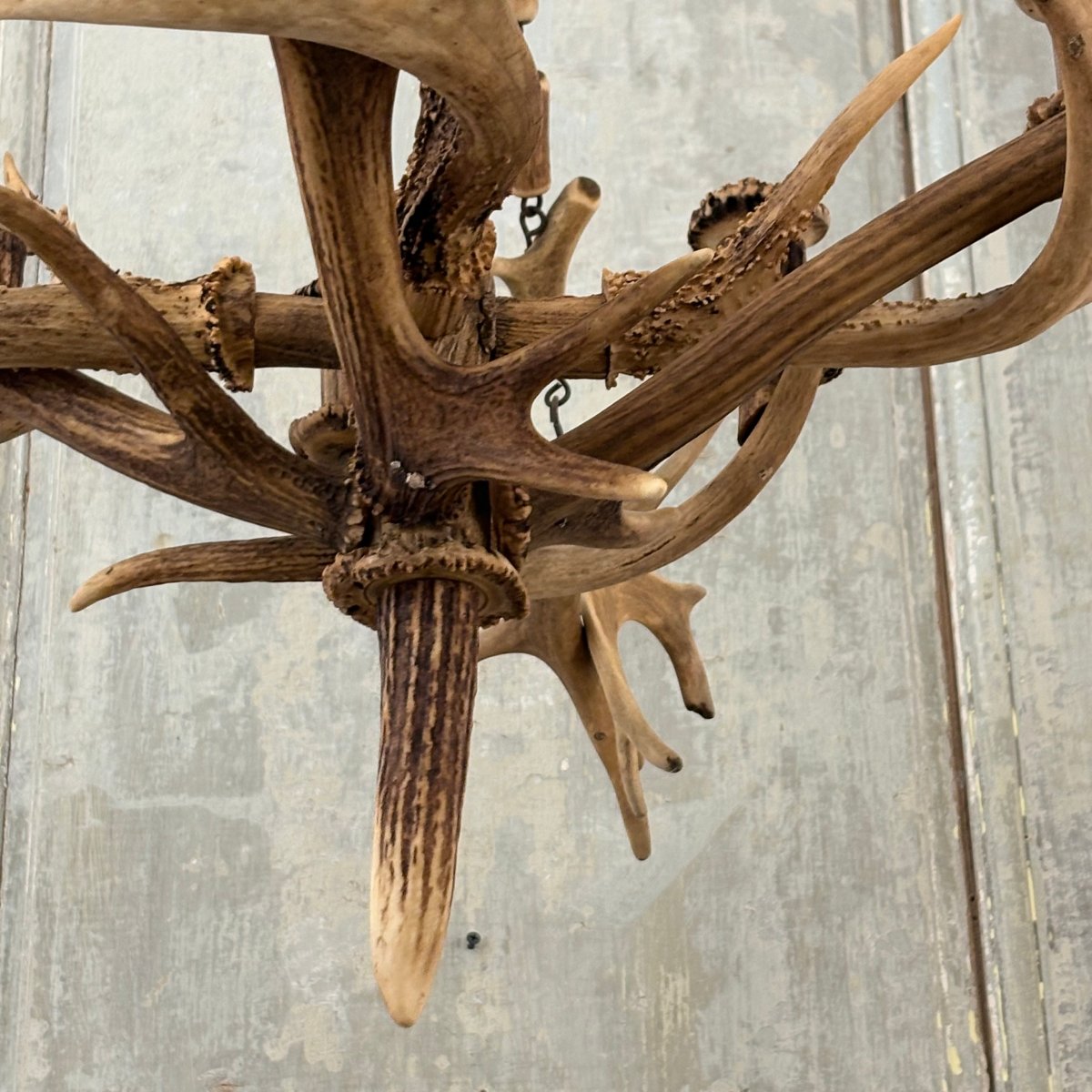 19th-century Deer Antler Chandelier-photo-2