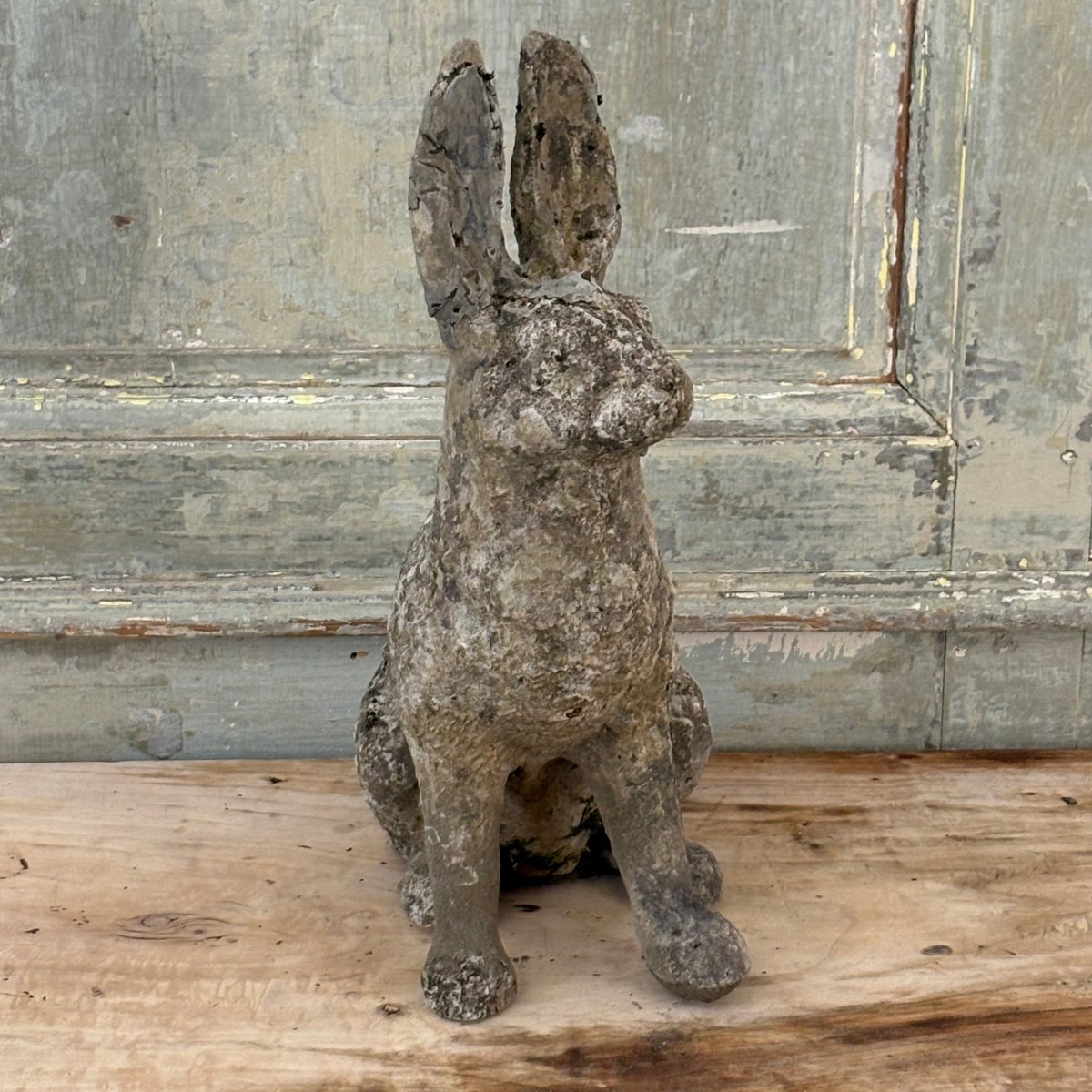 Reconstructed Stone Hare-photo-2