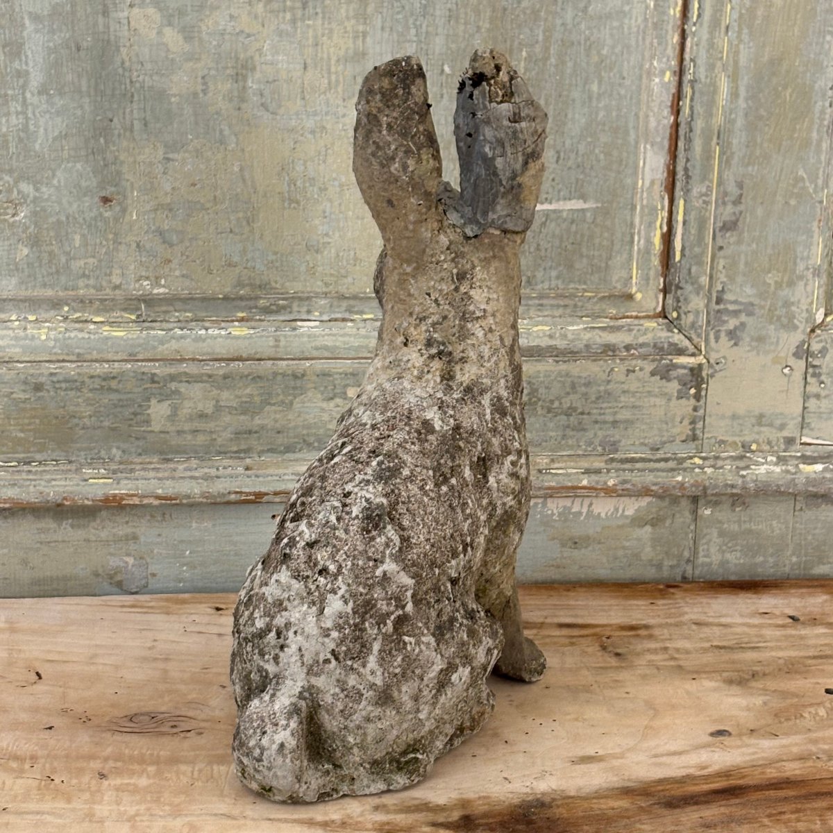 Reconstructed Stone Hare-photo-4