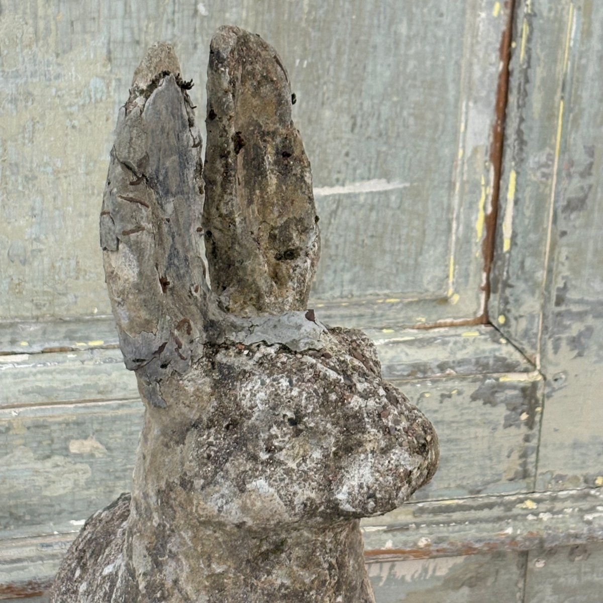 Reconstructed Stone Hare-photo-2