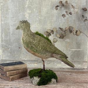 Pigeon en ciment