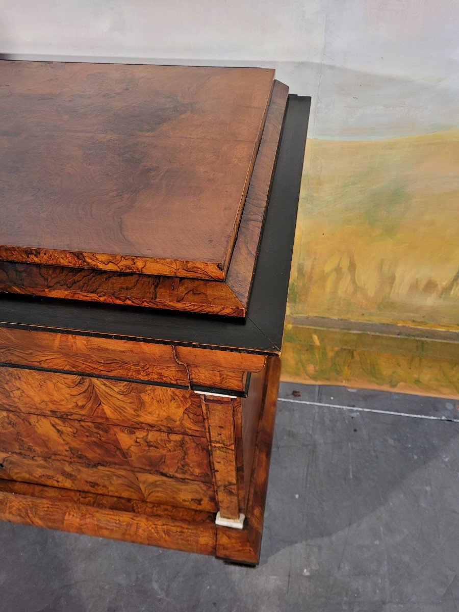 Louis Philippe Chest Of Drawers In Walnut-photo-8