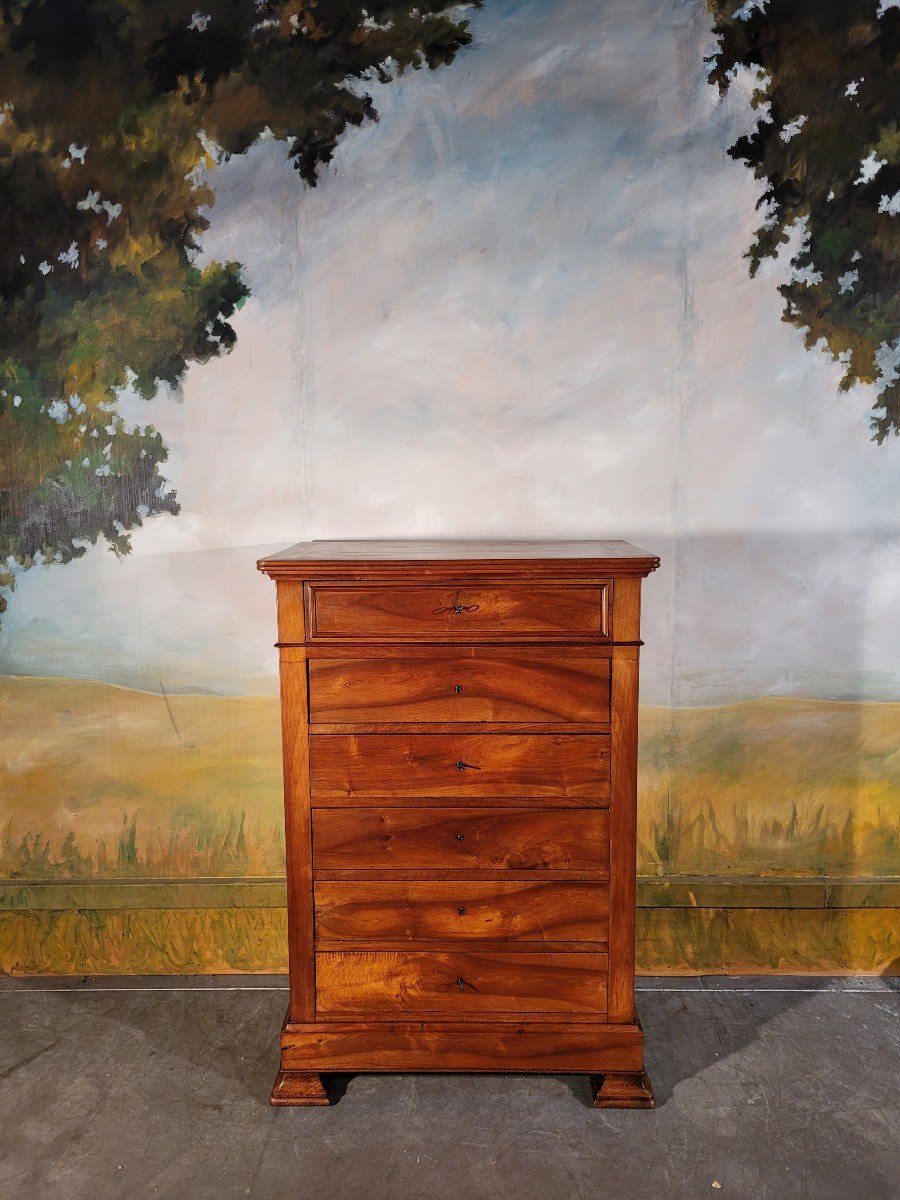 Chiffonier Large Chest Of Drawers In Solid Walnut XIX