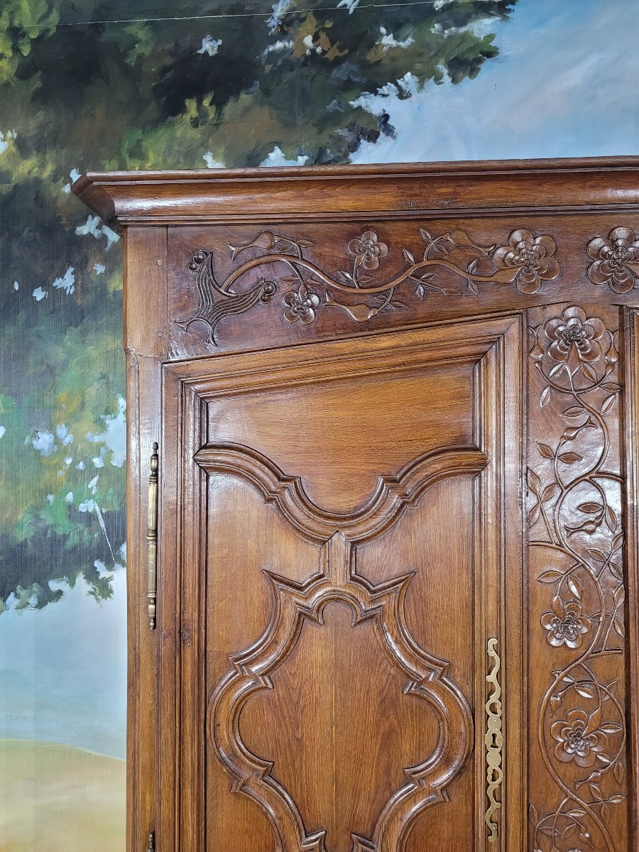 Carved Louis XV Oak Cabinet-photo-3