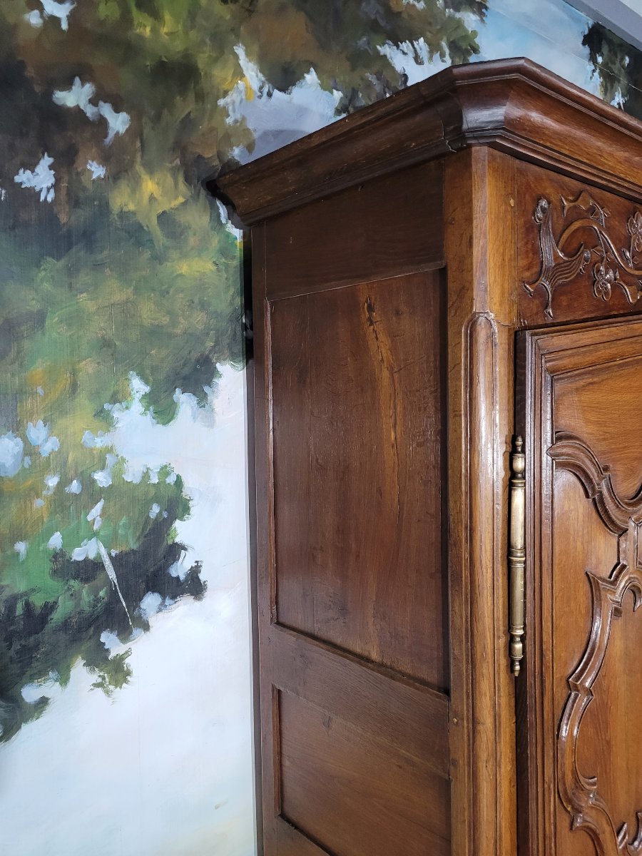 Carved Louis XV Oak Cabinet-photo-3