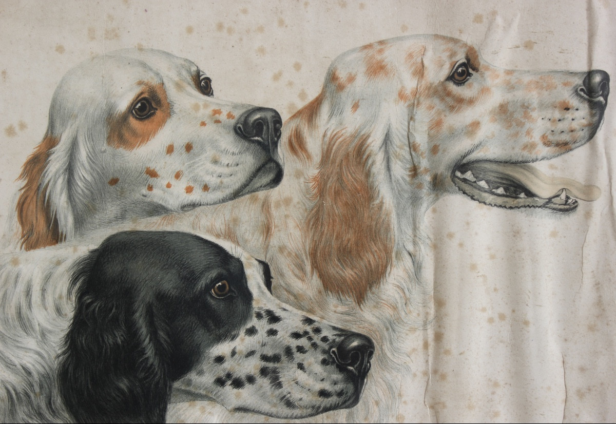 Léon Danchin - The Three Dogs - Engraving-photo-2