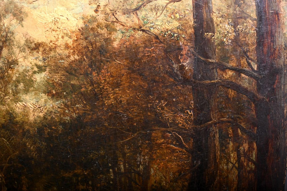 Oil On Panel, 19th Century. Lively Woodland Landscape, Barbizon Style.-photo-3