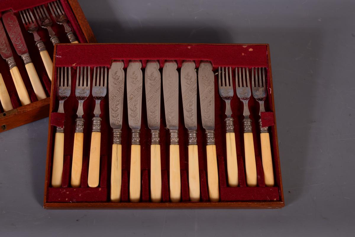 Twelve Fish Cutlery Silver Metal, Ivory Sleeve-photo-2