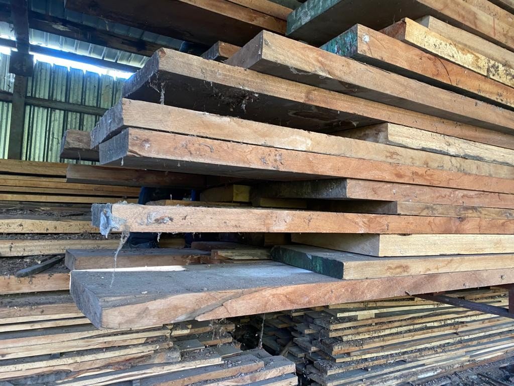 Important Lot Of Sipo Wood (mahogany) Planks About 70m3-photo-4