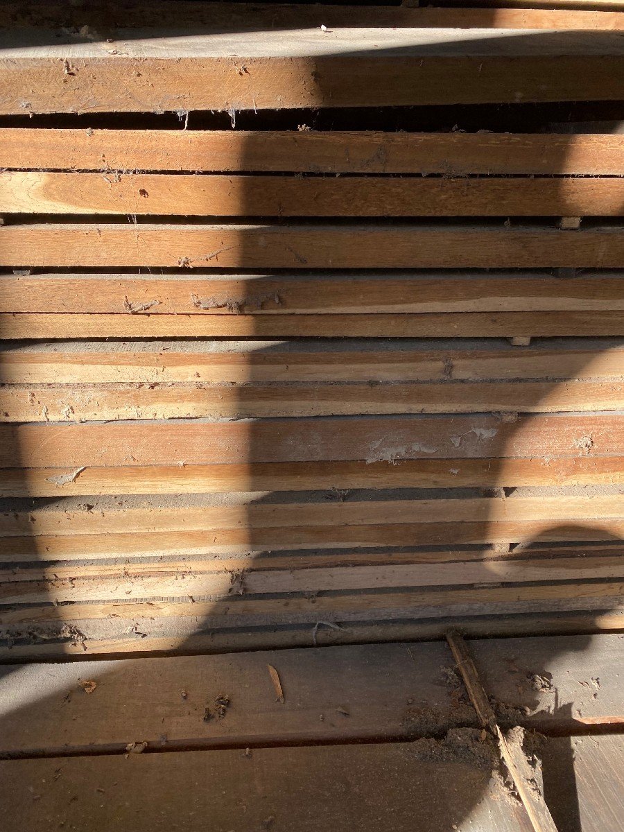 Important Lot Of Sipo Wood (mahogany) Planks About 70m3-photo-7