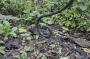 1104649-alb-6a4e4bec317fd.jpg