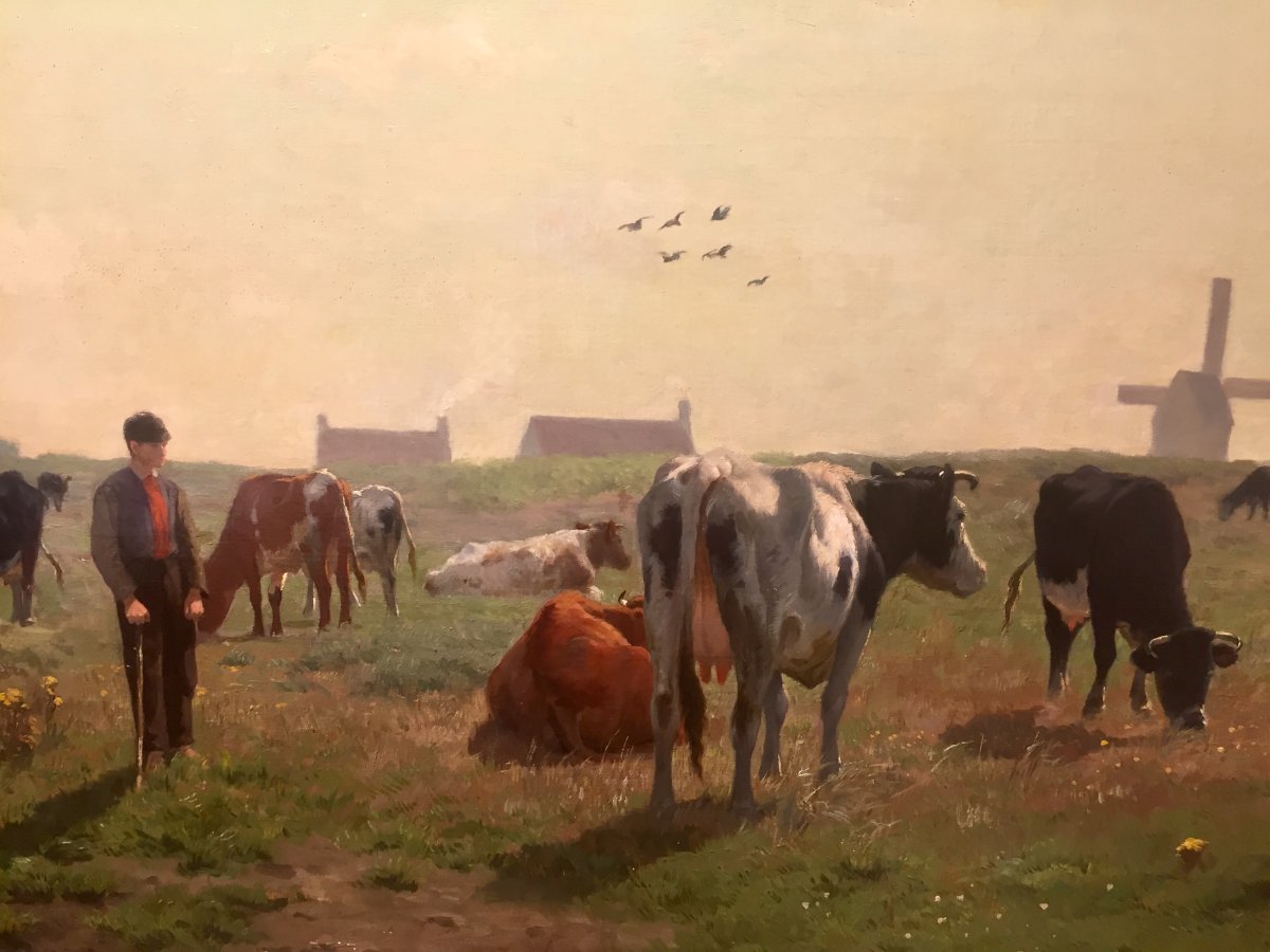 Herd Of Cows By Van Damme Sylva-photo-4